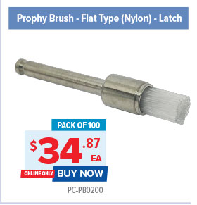 Prophy Brush – Flat Type (Nylon)
