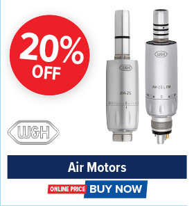 W&H Air Motors