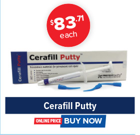 Cerafill Putty